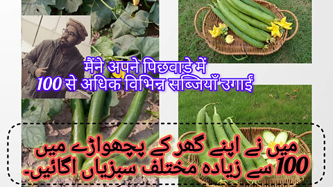 I Tried The Kichen Garden Seed Growing Routine