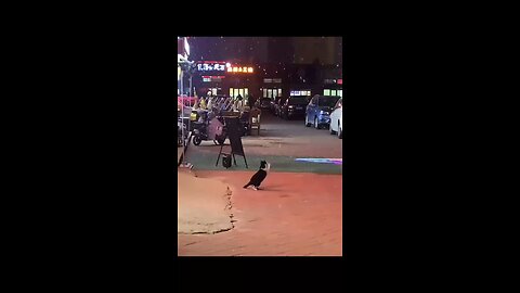 What beautiful weather ❤️