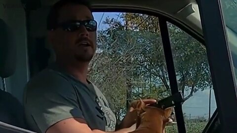 Dude In A Van Pulls A Gun On A Cart Narc Asshat Bothering Him About Returning His Cart
