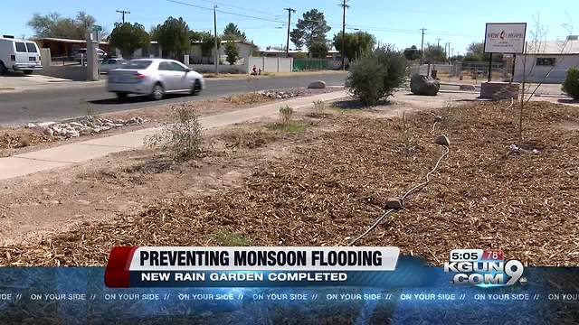 A new rain garden surrounding local church tackles monsoon flooding