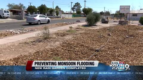 A new rain garden surrounding local church tackles monsoon flooding