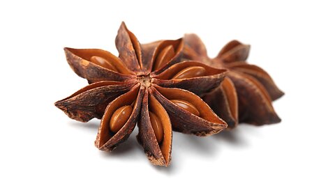 What is Star Anise? | Spice Factor #staranise #aniseed #anise
