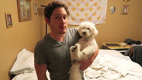 HOW TO GET MY DOG TO HOWL!