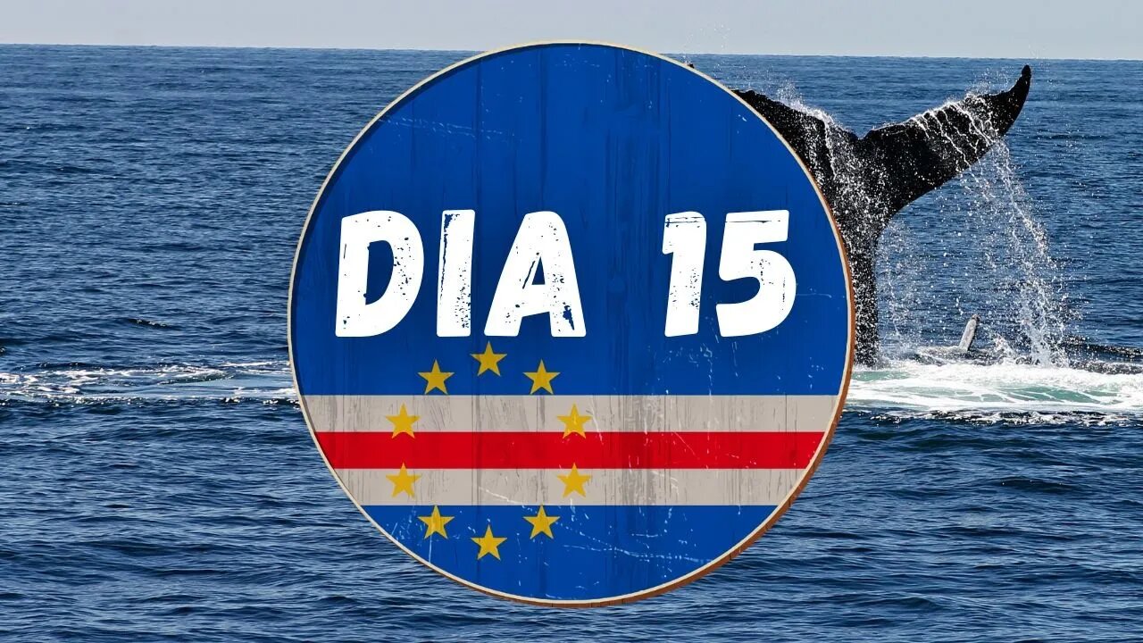 DIA 15 | Kailony workout