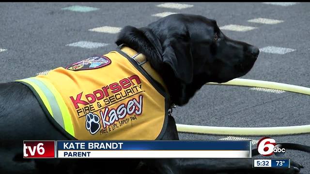 Kids learn fire prevention at children's museum