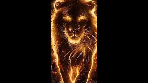 The King of Forest