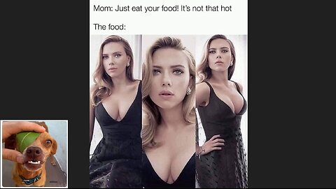 Memes That Will 99.94% Make You Laugh. (e165)