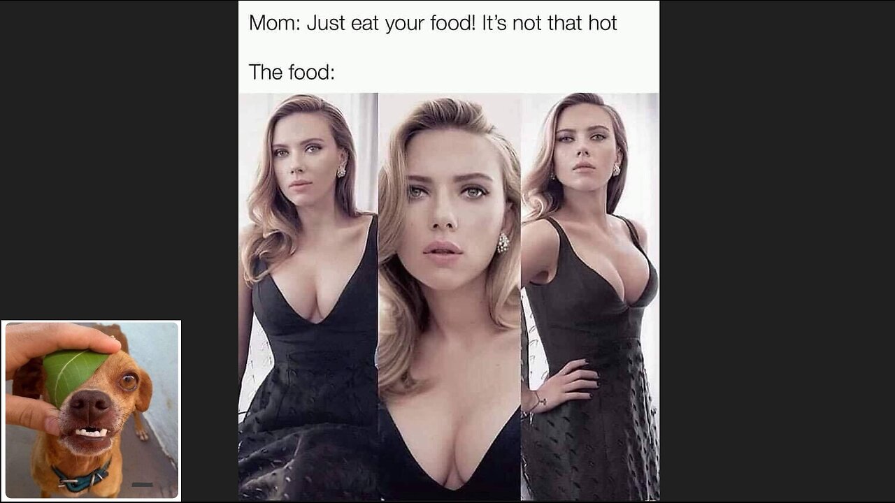 Memes That Will 99.94% Make You Laugh. (e165)