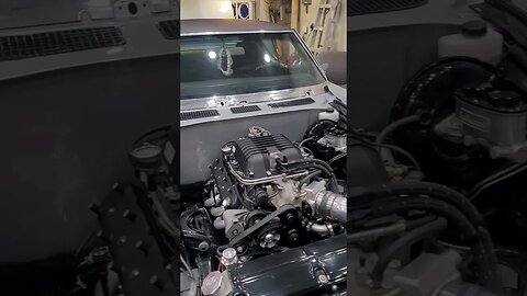 Slow Night In The Garage #ftpspeedshop #69chevelle #chevelle #projectprelude #puppy #puppylove