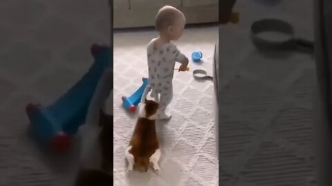funny cat with cute baby