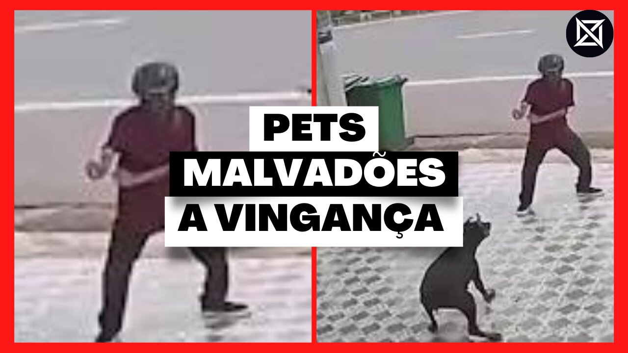 MELHORES COPILADOS DO T1KTAK EUA #7 - TENTE NÃO RIR SE PUDER | Zerando A Net