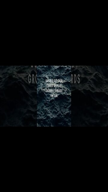 RANDOM FACTS! For The Curious Mind Vid #17 #Shorts #Facts