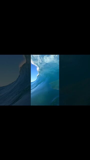 Is that a shark in the wave?