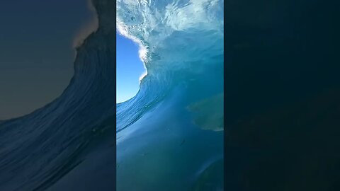 Is that a shark in the wave?
