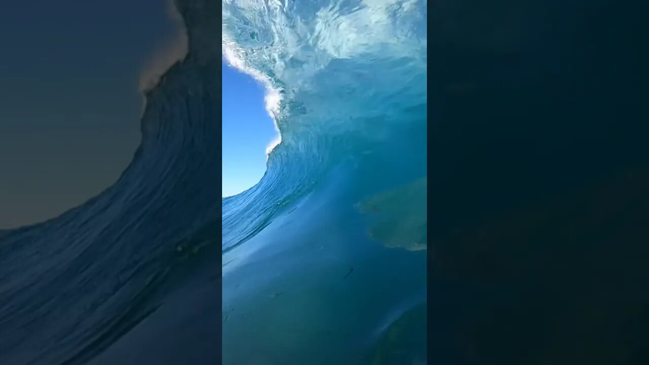 Is that a shark in the wave?