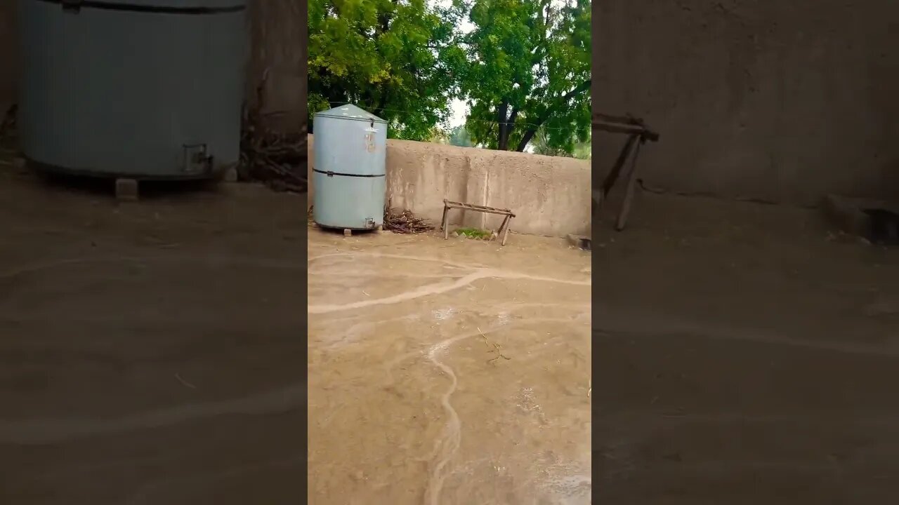 Ya Allah 🙏🏻❤🌹💯 after rain | Barish ke bad