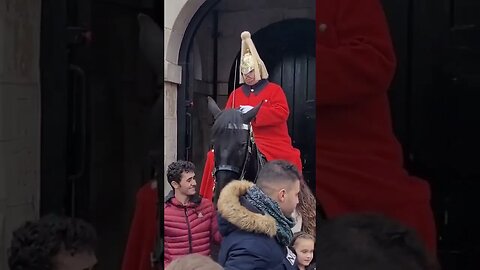Checking the the tourist's are not pulling the reins #horseguardsparade