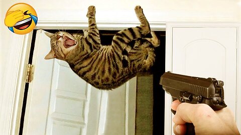 New Funny Videos 2023 😍 Cutest Cats and Dogs 🐱🐶