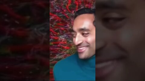 Elon Musk said that most, if not all of the conspiracy theories about Twitter turned out to be true.