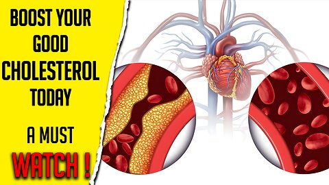 How to Increase HDL Cholesterol Naturally - Top 8 Foods that Boost Good Cholesterol