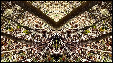 Solfeggio Healing Frequency 396Hz Let Out Funk - Meditation Music