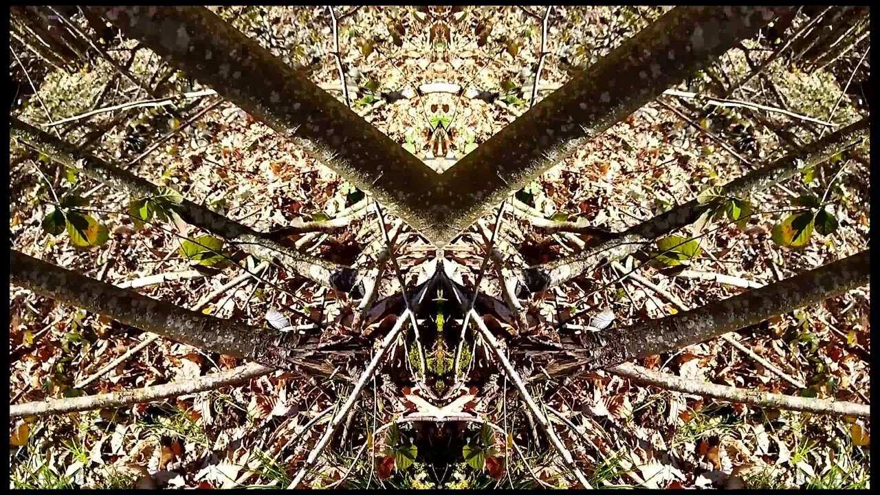 Solfeggio Healing Frequency 396Hz Let Out Funk - Meditation Music