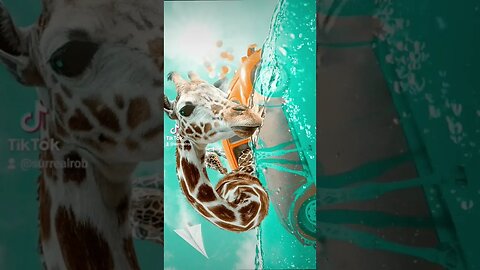 Summer vibes & giraffes in a sinking Beetle