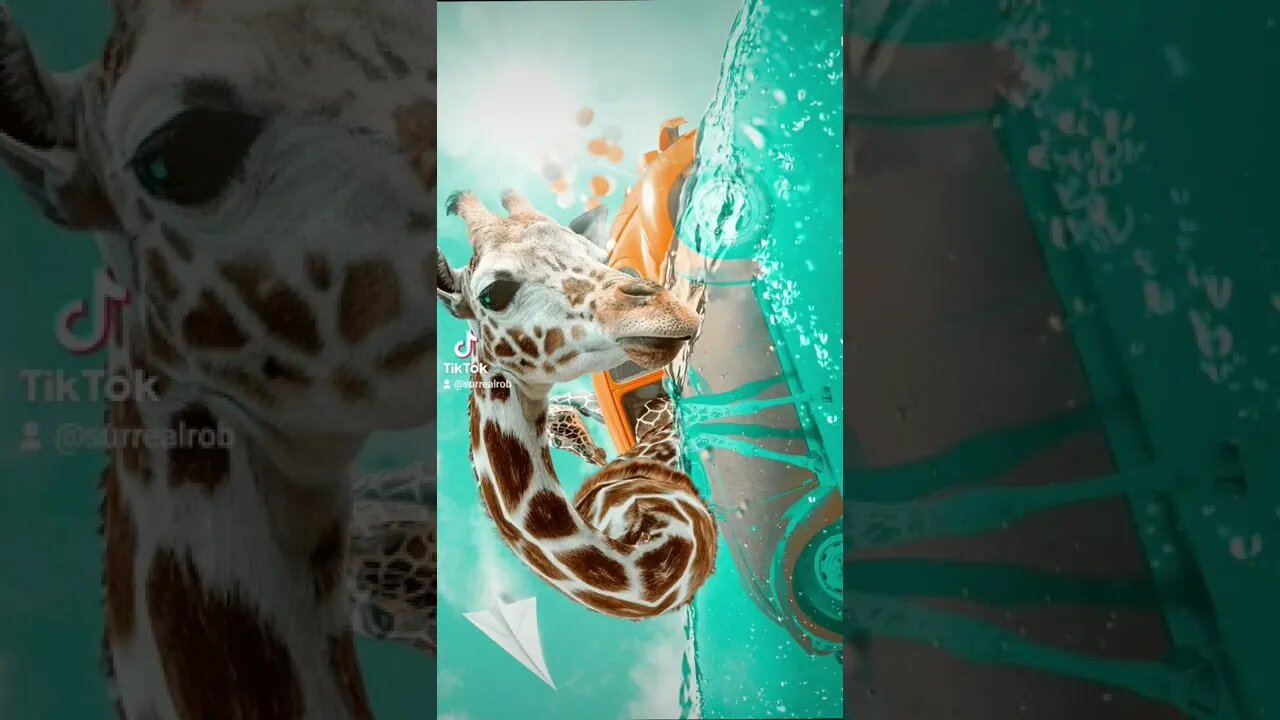 Summer vibes & giraffes in a sinking Beetle