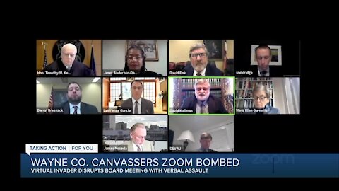 Wayne Co. Canvassers 'Zoom Bombed'
