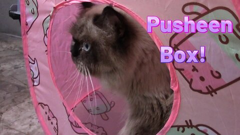 Pusheen Box Cat Kit Summer 2023! 😻