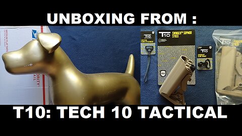 UNBOXING 203: T10 (TECH TEN TACTICAL). SWINGER SOPMOD COMBO KIT, SPITFIRE SLING ATTACHMENT