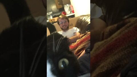 The One-Eyed Cat! 😸🎬 #shorts #cats #cattown