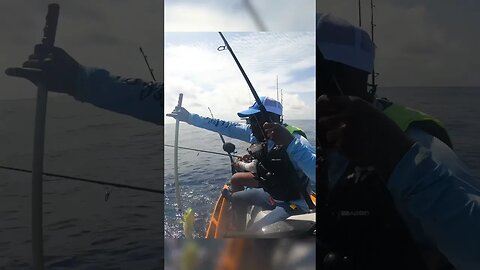 Hunting Mahi Mahi on my Jet Ski #Fishing #mahimahi #floridakeys #deepsea #offshore #bigfish #florida