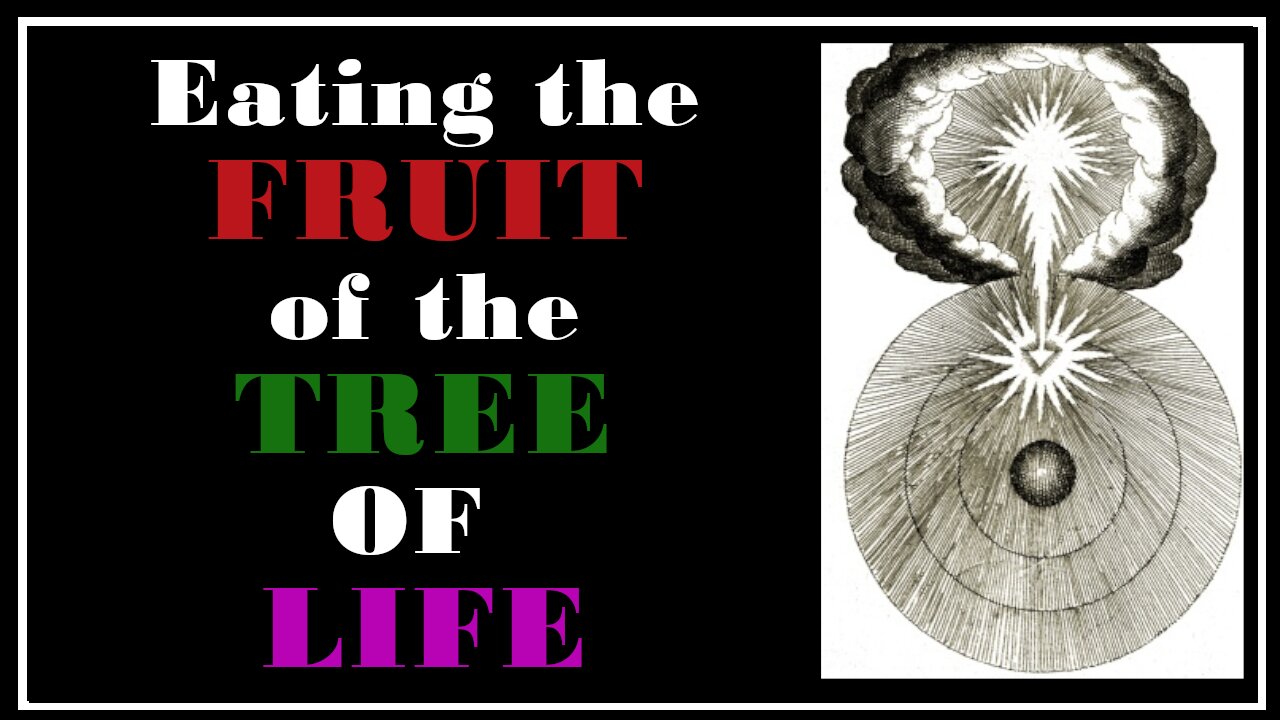 Esoterica: What IS the Tree of Life and Can YOU Use It? -The Cloud Upon the Sanctuary