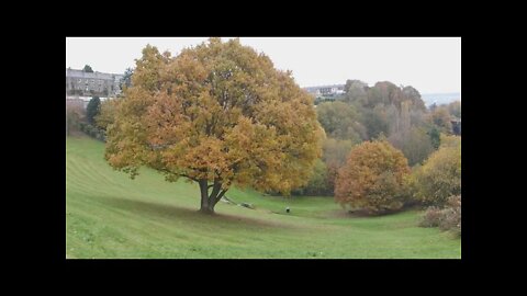Hill Top Reservoir, Slaithwaite