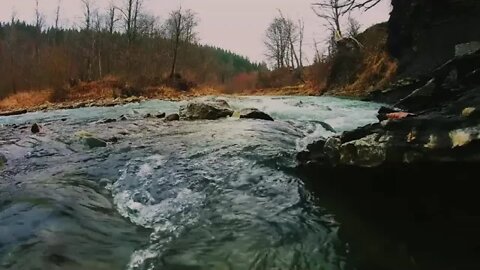 Flowing River | Sleep Sounds | 1 Hour | #sleepsounds #rest #sleep