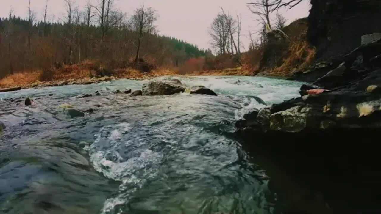 Flowing River | Sleep Sounds | 1 Hour | #sleepsounds #rest #sleep