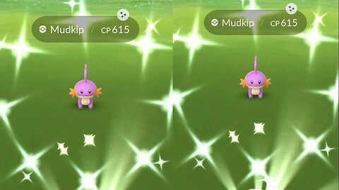 My Reaction to Shiny Mudkip
