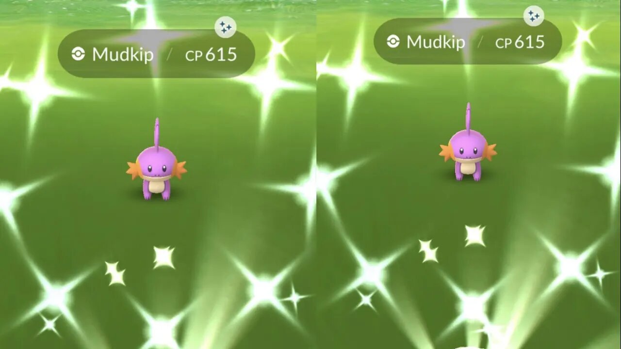 My Reaction to Shiny Mudkip