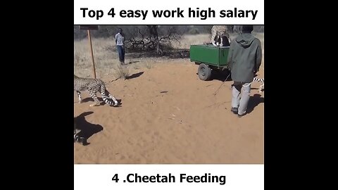 Easy work high salary 👍🤝