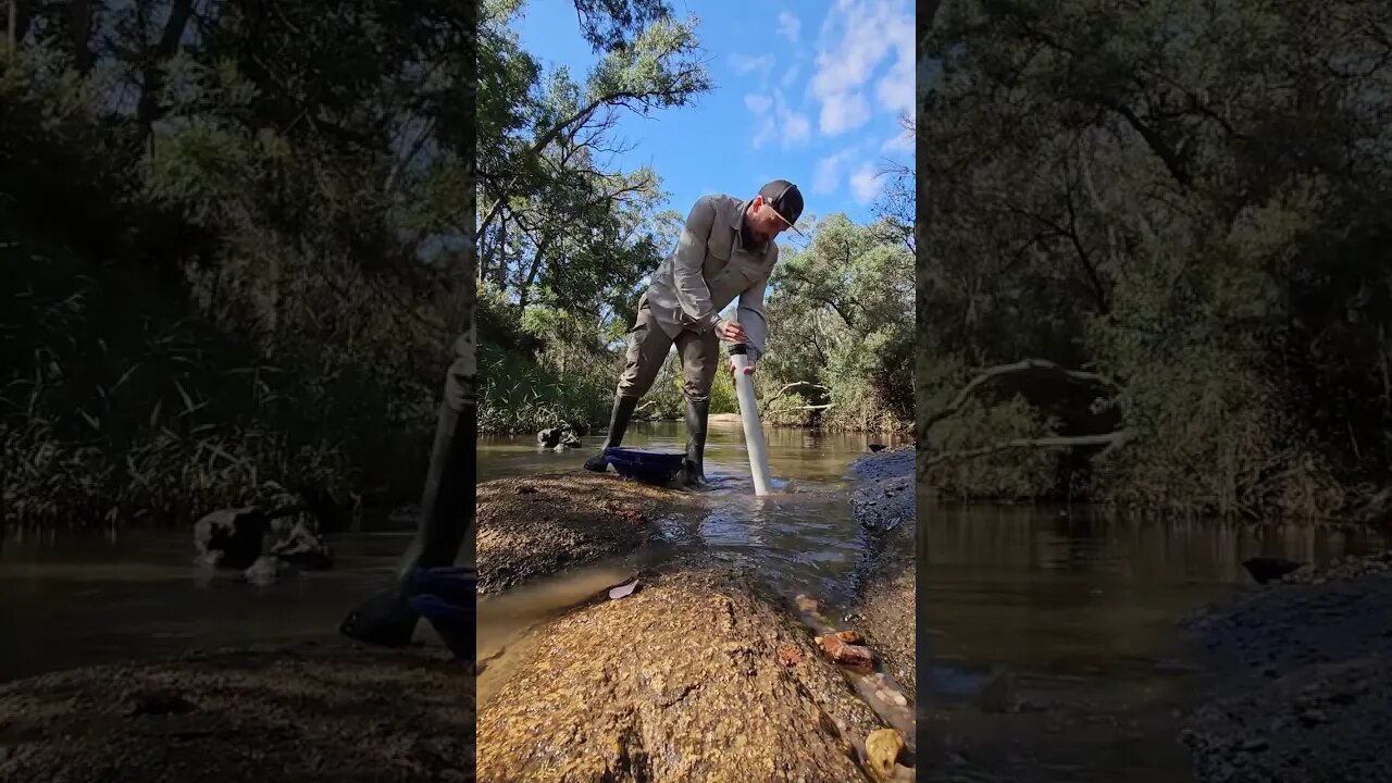 How Much Gold Can I Find Sluicing?