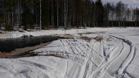 Timelapses and bird singing from the Nordic spring
