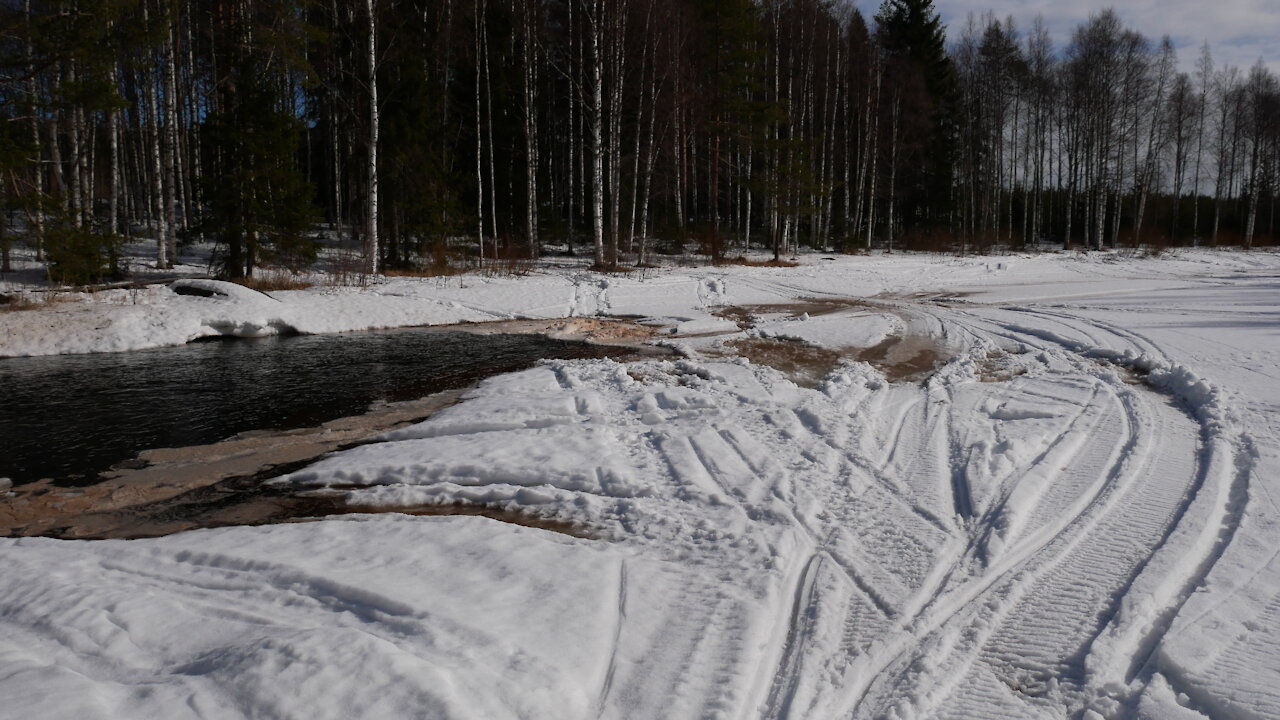 Timelapses and bird singing from the Nordic spring