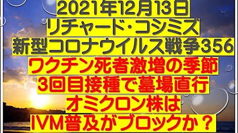 2021.12.13 リチャード・コシミズ新型コロナウイルス戦争３５６