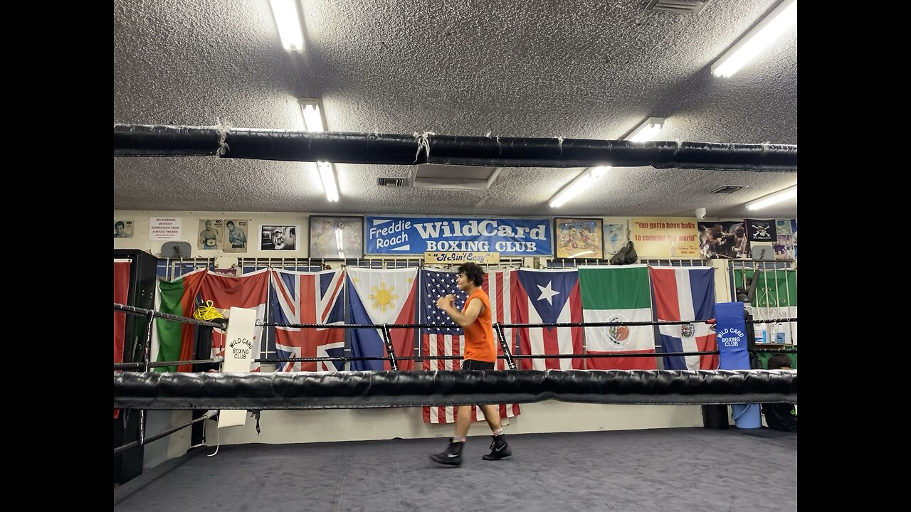 Aquiles Chavez Shadowboxing at Wildcard Gym
