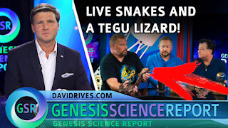 Genesis Science Report - New Astronomy Discovery + LIVE Lizards