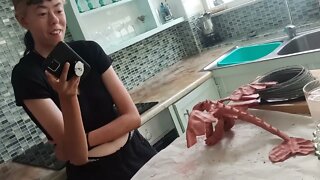 Dragon update.
