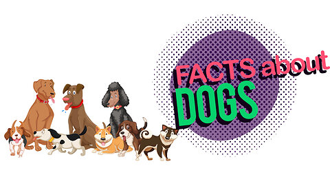 Dog Facts