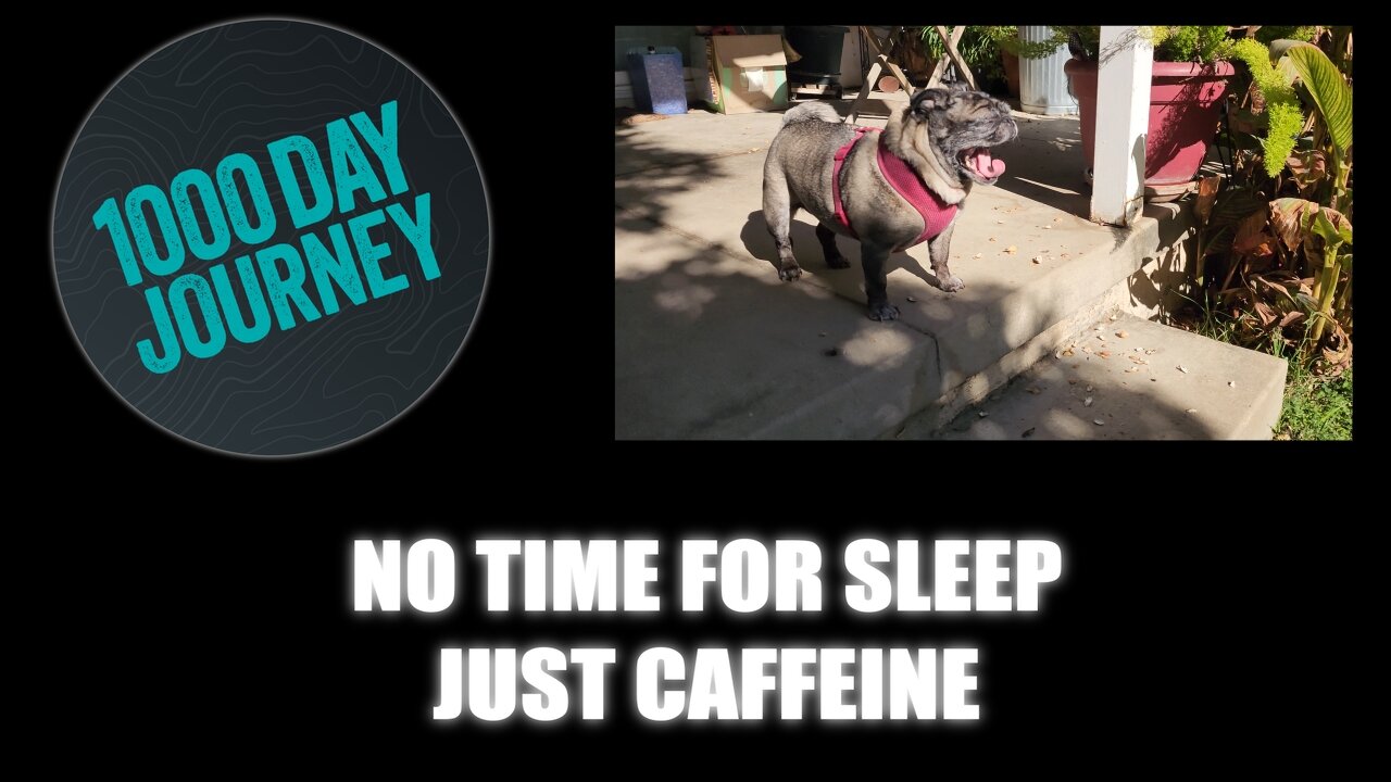 1000 Day Journey 0491 No Time for Sleep, Just Caffeine