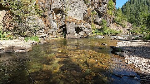 This stream wasn't easy to fish but it was definitely worth the effort!